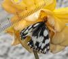 305416 – Photo : lguez – France (91)