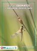 305919 – Photo : Mathurin CARNET – France (00)