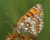305986 – Photo : Yoann Pelouard – France (21)