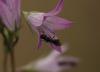 305607 – Photo : morgane sineau – France (72)