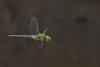305017 – Photo : Yvon JACQUES – Vietnam