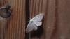 305846 – Photo : CATALDO Bruno – France (04)