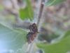 305961 – Photo : Ivan Jaubertie – France (31)
