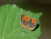 305738 – Photo : Fred Chevaillot – France (12)