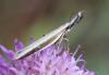 305636 – Photo : Yoann Pelouard – France (83)