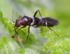 305894 – Photo : Jean-Michel GAREL – France (89)
