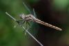 305510 – Photo : Gilles Creyssac – Italie