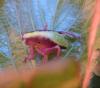 305902 – Photo : Pierre BABY – Mayotte