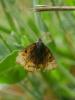 305000 – Photo : BourrinOman – France (05)