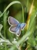 305075 – Photo : BourrinOman – France (83)