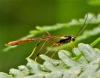 305086 – Photo : Sandor31 – France (31)