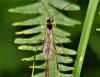 305087 – Photo : Sandor31 – France (31)