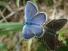 305767 – Photo : Guillaume Bigayon – France (08)