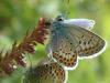 305765 – Photo : Guillaume Bigayon – France (08)