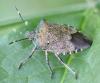 305837 – Photo : Jean-Michel GAREL – France (89)