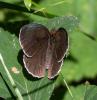 305551 – Photo : lguez – France (78)