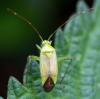 305467 – Photo : Cédric Mondy – France (77)
