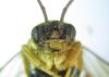 306525 – Photo : Alexander Boldyrev – France (19)