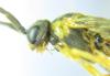 306542 – Photo : Alexander Boldyrev – France (19)