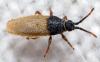 306034 – Photo : André Burgers – Espagne