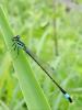306751 – Photo : Villemain Alexis – France (33)