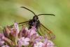 306279 – Photo : Olivier Pouvreau – France (86)