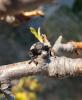 306761 – Photo : sylvie Debré – France (06)