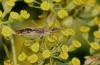 306332 – Photo : Eric Barbier – France (13)