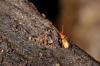 306956 – Photo : Thomas Cuypers – France (09)