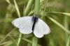 306989 – Photo : Michel Mathieu – France (34)