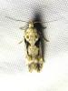 306802 – Photo : Moth-er – France (69)