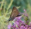 306711 – Photo : Ivan Jaubertie – France (66)