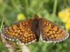 306426 – Photo : Alain Gérard – France (11)