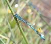 306694 – Photo : Catherine Reymonet-Smitten – France (19)