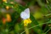 306668 – Photo : C. Peyron – France (31)