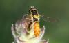 306471 – Photo : Marc Thibault – France (13)