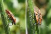 306181 – Photo : Eric Barbier – France (13)