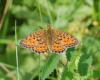 306873 – Photo : Didier GODREAU – France (25)