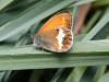 307545 – Photo : Philippe Fourtier – France (38)