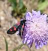 307911 – Photo : Philippe Fourtier – France (38)