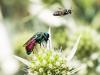 307227 – Photo : Danièle Tixier-Inrep – France (30)