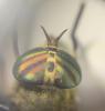 307455 – Photo : Gould24 – France (24)
