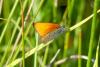 307436 – Photo : florent besson – France (18)