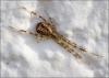307770 – Photo : Marc ERARD – France (29)