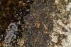 307282 – Photo : ldvn – France (65)