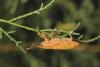 307478 – Photo : Simon Thevenin – France (11)