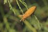 307479 – Photo : Simon Thevenin – France (11)