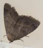 307256 – Photo : Jean-Jacques PORTENEUVE – France (83)