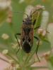 307701 – Photo : BourrinOman – France (05)