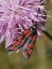 307839 – Photo : BourrinOman – France (05)